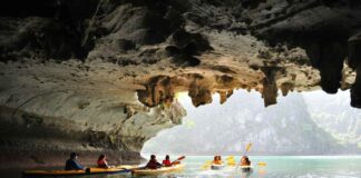 Unveiling The State’s Top Sporting Destinations