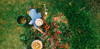 6 Tips for Creating a Sustainable Yard