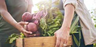 7 Ways to Find Food From Good Soil