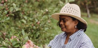 5 Science-backed Ways to Manage Menopause Brain Fog