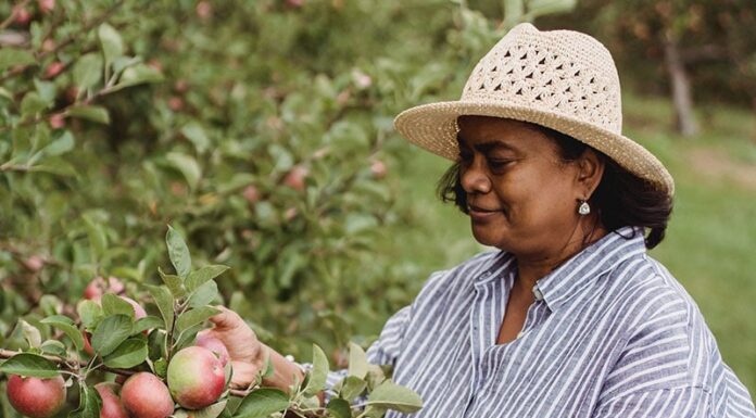 5 Science-backed Ways to Manage Menopause Brain Fog