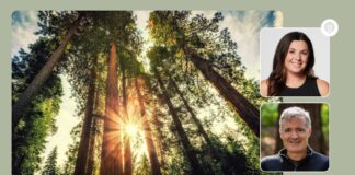 Why Trees Matter So Much — for the Health of People and the Planet