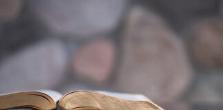 Exploring The Language Of The Old Testament