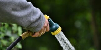 Why Gardens Are Essential For Your Physical And Mental Wellness