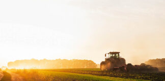 How Conventional Farming Practices Harm the Soil