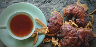 The Health Benefits of Medicinal Mushrooms