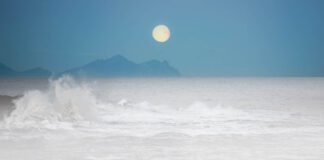 How Following Ultradian, Circadian, and Infradian Rhythms Can Boost Your Health