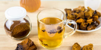 What Are the Health Benefits of Chaga Mushrooms?