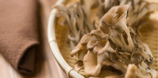 What Are the Health Benefits of Maitake Mushrooms?