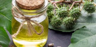 What Are the Health Benefits of Castor Oil?