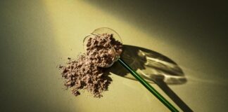 I’m New to Supplementation — Where Should I Start?