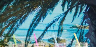 The Benefits of Daily Smoothies