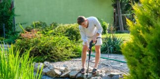 Essential Tips For A Clear And Healthy Pond