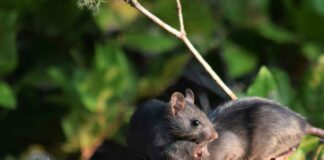 What They’re Doing When You’re Not Looking