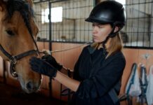 The Importance Of Bridles In Horse Riding