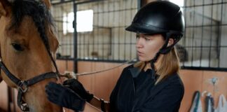 The Importance Of Bridles In Horse Riding