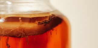 A Deep Dive Into The Fermented Elixir