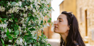 4 Tips for Finding Mindfulness