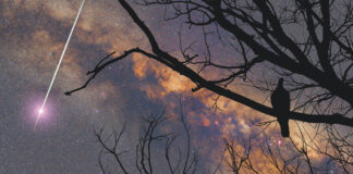 Moving Through Grief