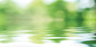 Your Guide to Eco-Friendly Burial and Cremation Options