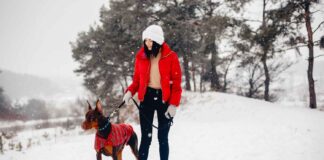 A Day in the Life of an Avalanche Rescue Dog — And the Gear That Keeps Them Safe