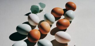 How Many Grams of Protein Are in an Egg?