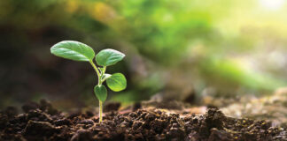 What Is Human Composting?