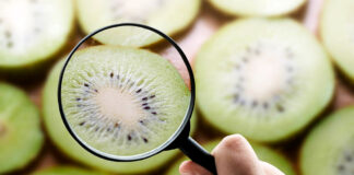 The Role Vitamin C Plays to Support Healthy Eyes