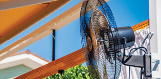 Protect Yourself From Mosquitoes — Naturally