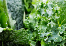 How Lutein and Zeaxanthin Support Eye Health