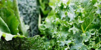 How Lutein and Zeaxanthin Support Eye Health