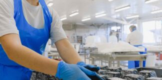 A People-First Disruptor in Food Sanitation