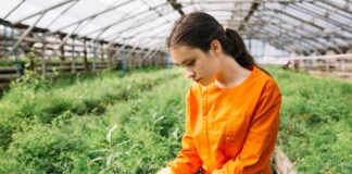 Best Farming Practices for Conservation