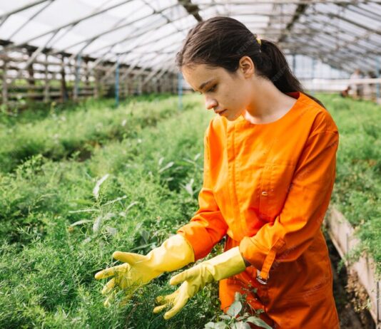 Best Farming Practices for Conservation