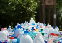 How Small Recycling Habits Can Add Up to Big Environmental Change