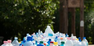 How Small Recycling Habits Can Add Up to Big Environmental Change