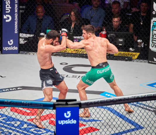 Essential Techniques and Moves for Beginners